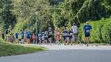 Deelnemers Proostmeerloop.nl Wagenborgen