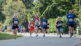 Deelnemers Proostmeerloop.nl Wagenborgen