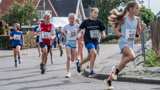 Deelnemers Proostmeerloop.nl Wagenborgen